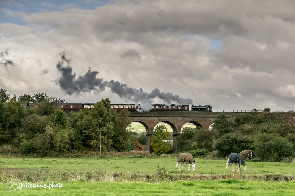 Steam train on the Seven Arches, river Roch, Bury.