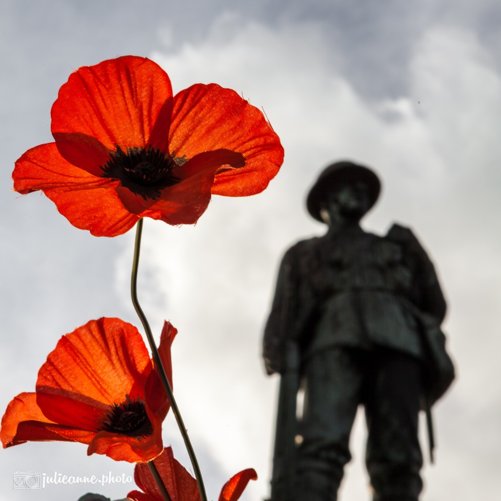 War memorial soldier and poppy.